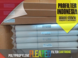 Pleated Cartridge Filter Bag Indonesia  large
